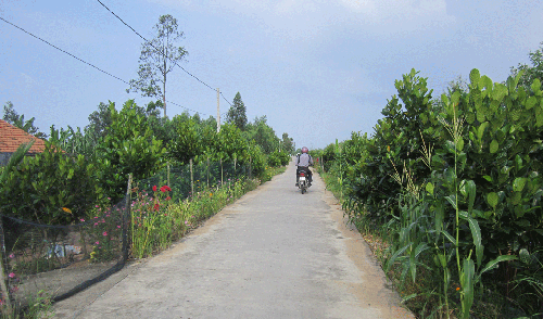 Một quãng đường qua ấp vùng sâu Nguyễn Sơn