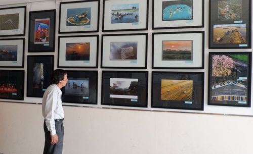 Chủ tịch Hội Liên hiệp Văn học Nghệ thuật tỉnh - Nghệ sĩ nhiếp ảnh Nguyễn Lành xem lại những tác phẩm đoạt giải cuộc thi ảnh nghệ thuật "Long An quê hương tôi" năm 2019